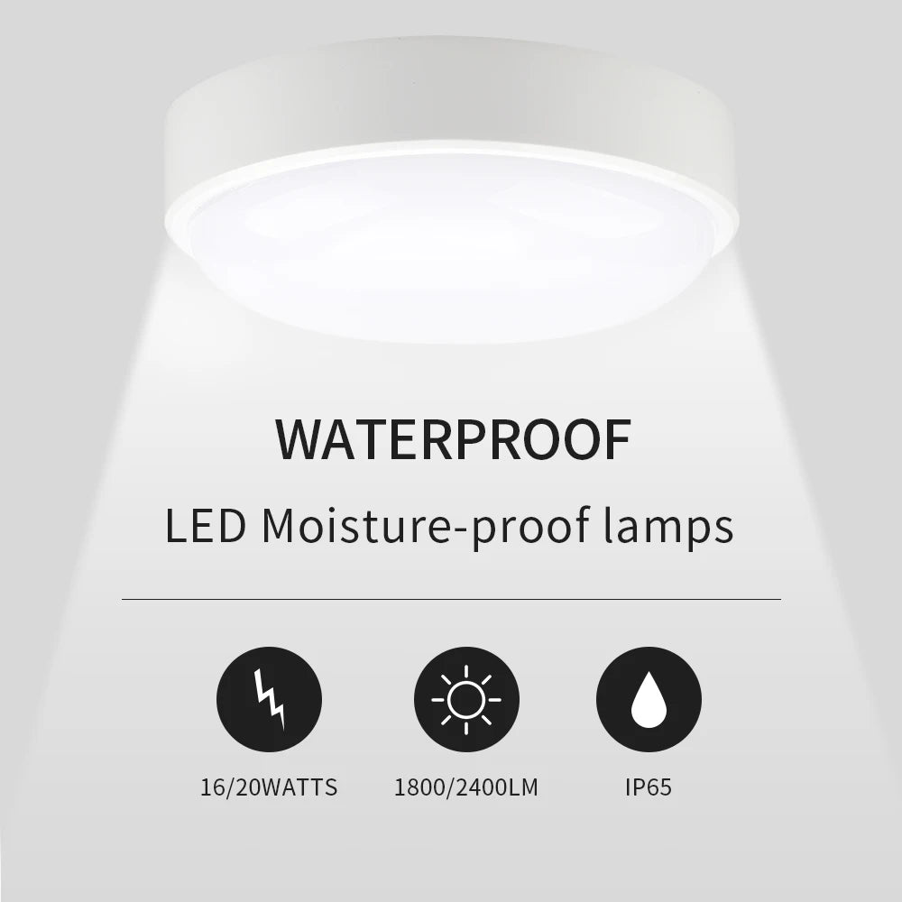 16W 20W Modern LED Moistureproof Wall Lamp Bathroom Porch Ceiling Sconce Aisle Indoor Outdoor Surface Mounted Oval Wall Lighting