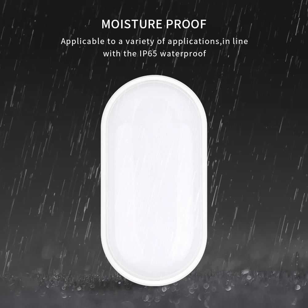 16W 20W Modern LED Moistureproof Wall Lamp Bathroom Porch Ceiling Sconce Aisle Indoor Outdoor Surface Mounted Oval Wall Lighting